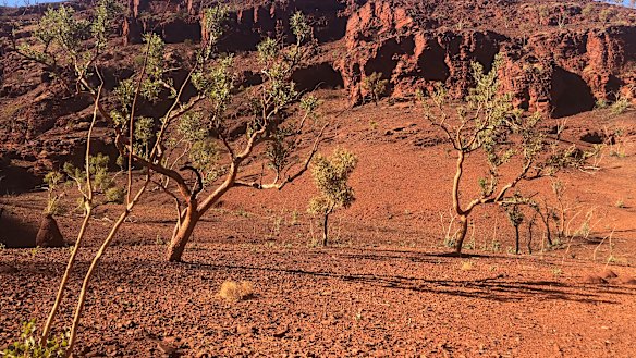 The landscape viewed from a rock shelter recently excavated by the Eastern Guruma people to demonstrate its cultural importance.