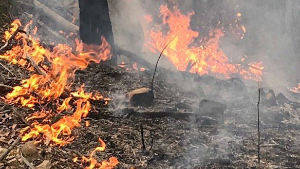 East Gippsland bushfires earlier this month. 