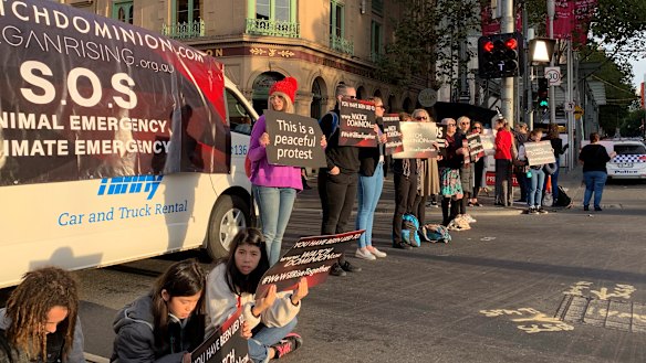 Protestors in the middle of the Melbourne CBD. 