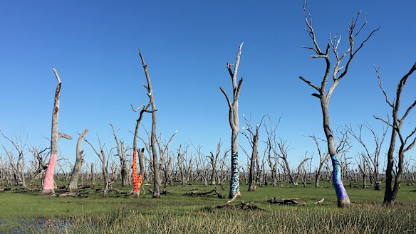 Winton Wetlands, near Benalla, are a reclaimed water storage that  locals hope will become a tourist lure.