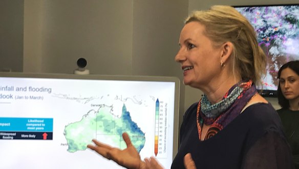 Federal Environment Minister Sussan Ley has offered Commonwealth financial help with Fraser Island's (Kgari) recovery during a visit to the Bureau of Meteorology cyclone warning centre in Brisbane.