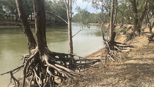 Many of the projects supposed to deliver environmental water savings carry risks of their own.