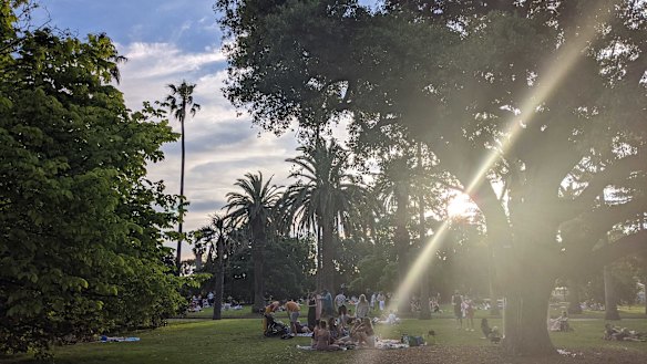 The botanical gardens on Tuesday evening.