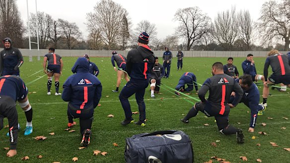 Biding their time: The Wallabies train in London.