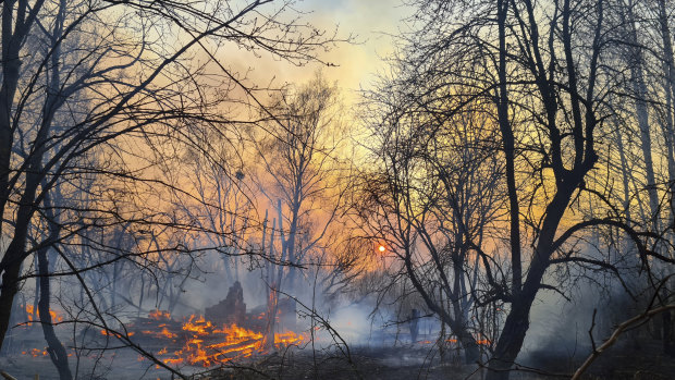 A view of a forest fire burning in the Chernobyl nuclear exclusion zone.