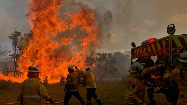 Initial investigations identified potential fraud of up to $64 million in the bushfire response program.