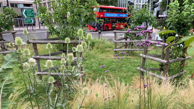 An estimated 500,000 bus passengers pass Brixton Orchard every day.