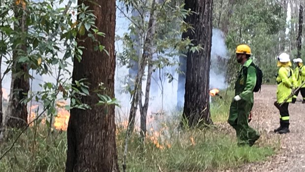 Controlled burns begin in bushland at Drewvale near Logan.