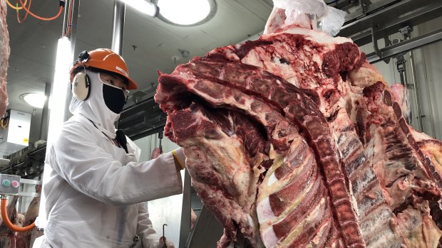 China bans Brisbane beef processor over 'tainted' meat
