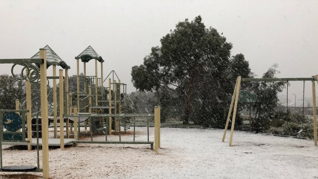 Snow falls at Gisborne on Sunday morning.