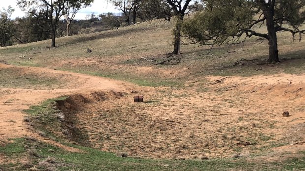 Farmland near Gundy in the Upper Hunter region is one region where rains are bringing early green shoots - but much more is needed to end the drought.