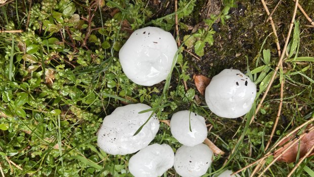 Giant hail stones in Balaclava.