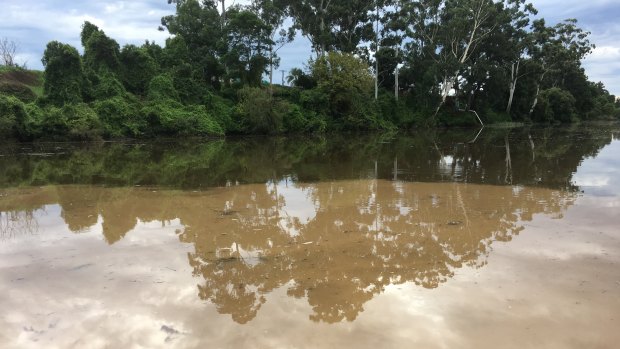 Discoloured water from South Creek enters the Hawkesbury River.