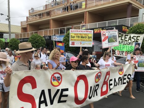 People rally against the proposed jetty last month.