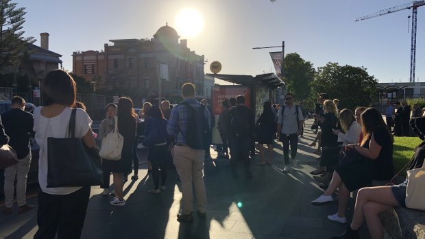 Large numbers of people were waiting at bus stops in Paddington on Tuesday morning due to an earlier crash.