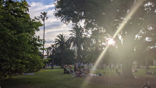 Melburnians gather in the Botanical Gardens on Cup Day.