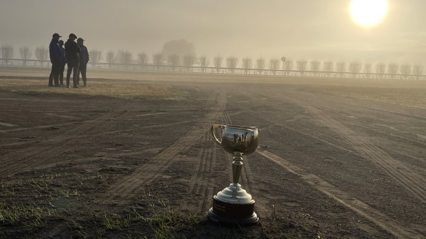 The 2023 Melbourne Cup trophy at the Agnes Banks property of Godolphin Australia.