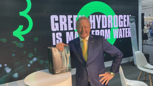 Andrew Forrest promotes green hydrogen at COP27 in Egypt in 2022.