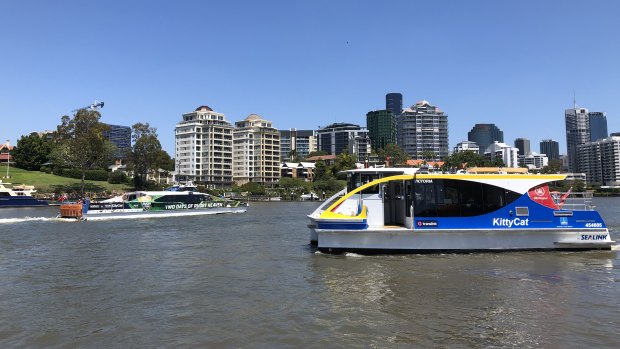 The new KittyCat fleet (front) operates on cross-river and CityHopper services alongside the CityCats (rear).