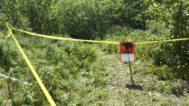 A bear sign and police tape mark a site near a bear attack near Eagle River, Alaska.