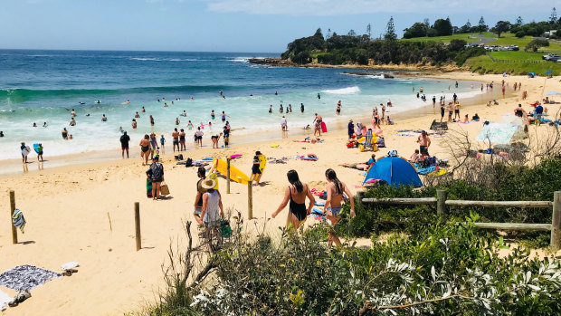 Picture perfect: the beach at Bermagui.