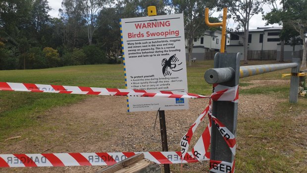 A sign warns of swooping magpies in Glindemann Park.
