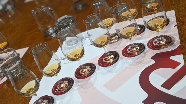 A whisky-tasting line-up in Scotland.