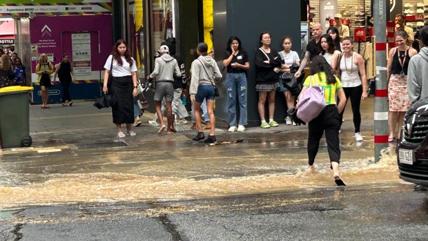 A brave pedestrian tries to cross.