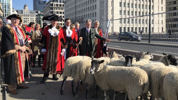 London's lord mayor leads a group driving sheep across London Bridge.