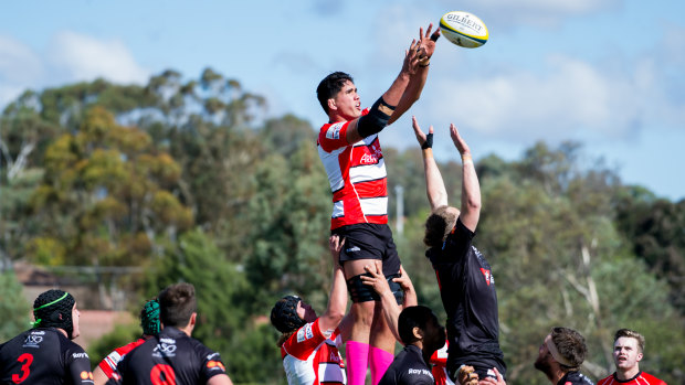 Vikings player Darcy Swain wins a line out.