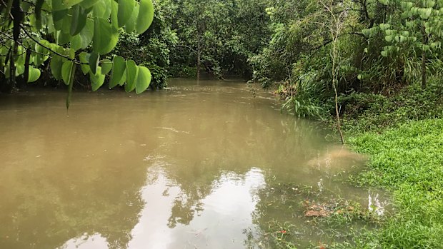 The area downstream where councillor Brett Moller was able to get the young woman to the bank.