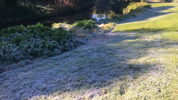 Reader Joanna sent in this photo showing the frost along Merri Creek in Melbourne on Wednesday morning.