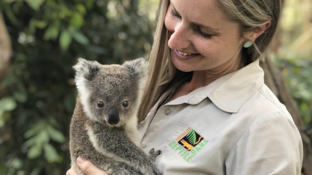 Too cute: It's just a matter of time, so maybe Bolt should head straight to Australian Reptile Park for the mandatory koala shot.