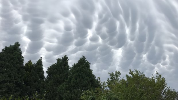 Another view of the mammatus clouds - with this image taken at about 4pm at Turramurra.