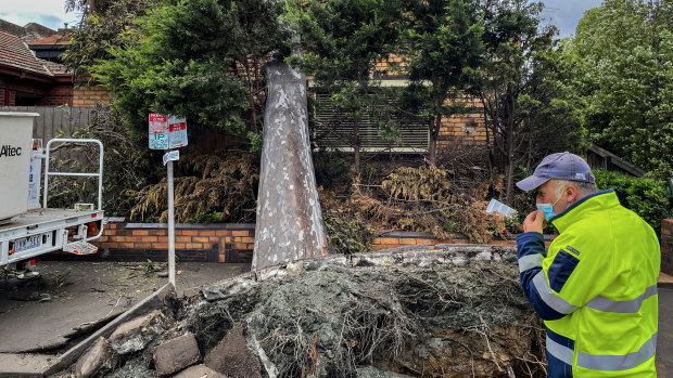 Hundreds of thousands of people in Victoria were without power a couple of weeks ago after strong winds brought down trees and power lines. 