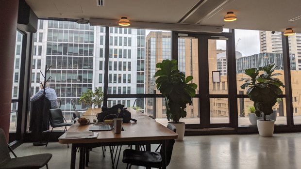 WeWork's hub at 333 George Street in Sydney is spread over five floors. 