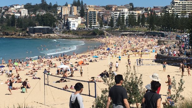 Swimmers made the most of the warm weather at Coogee beach on Sunday.