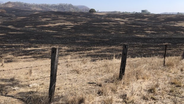 A fire in the Scenic Rim town of Tarome swept through and burnt grassland over the weekend.