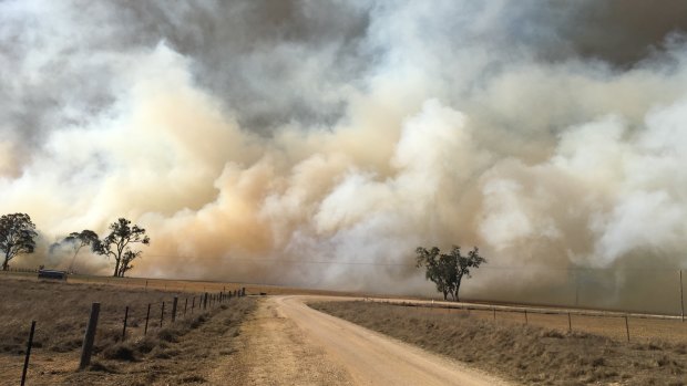 A bushfire burns near Tenterfield in northern NSW.