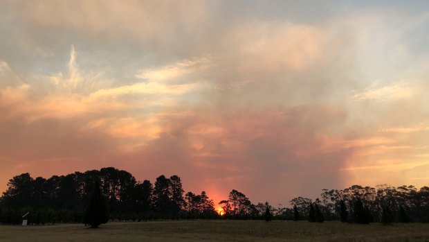 The view of the bushfire from Top Forty Orchard.