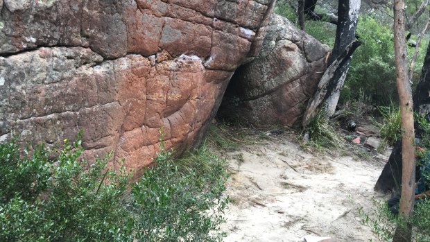 This image, supplied by Parks Victoria, shows what they claim is damage to vegetation caused by 'bouldering mats' at the Venus Baths.