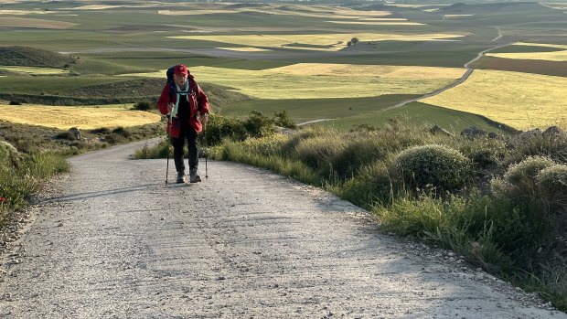 Chris Haywood plays his friend director Bill Bennett in the film The Way, My Way.