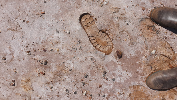 Salt-encrusted earth at the Eramurra site. 