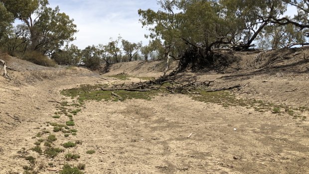 Greg and Lyn Rummery's property on the Namoi River is one of dozens of new properties signing up for the government's Biodiversity Conservation Trust funding.
