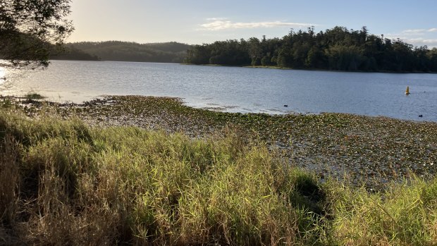 Enoggera Dam in Brisbane's west was a key area in the search on Tuesday.