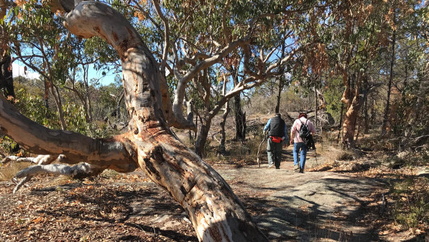 Stanthorpe will run out of water in December if there is no rainfall. Pictured are the bone-dry conditions in nearby Girraween National Park.