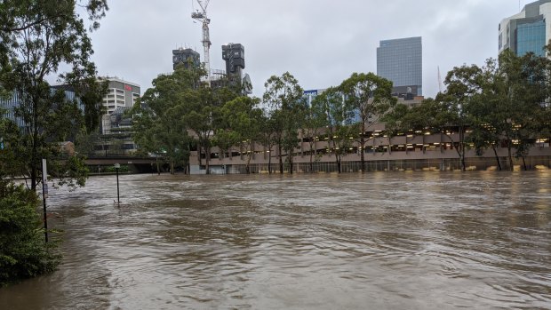 On February 10, the inundated former David Jones car park on which the new Powerhouse Museum will stand.