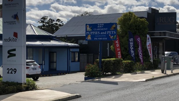 This pet shop in Claremont has sold puppies that were bred on a puppy farm in NSW, which has been raided by the RSPCA.