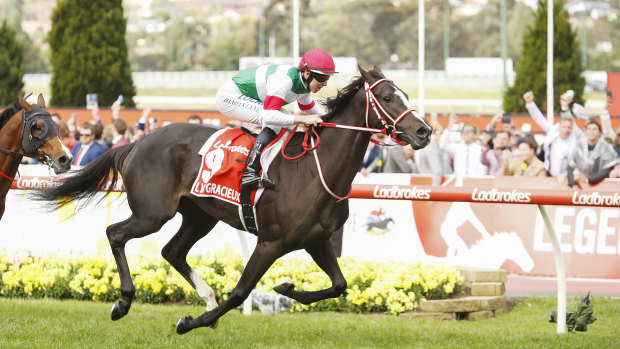 Jockey Damian Lane and Lys Gracieux win the 2019 Cox Plate.