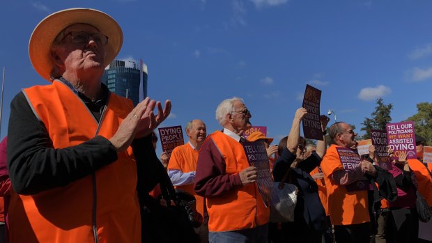 Euthanasia supporters welcome the parliamentary committee report recommending its introduction.